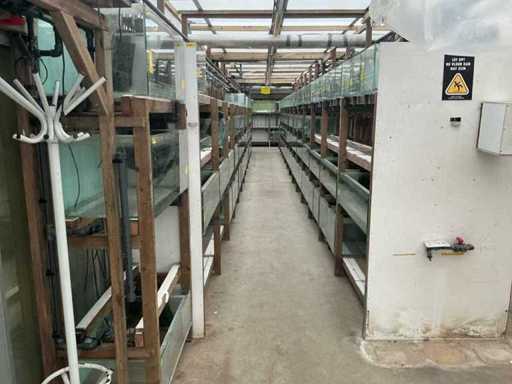 Lot of Aquariums (approx. 1700 pieces)