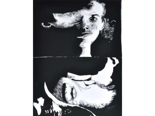 Toon Tersas - kleurenzeefdruk