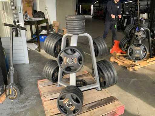 Disques Lifemaxx 50mm avec rack 4x20kg ; 10x10kg ; 16x5kg, 8x2,5kg Multi-gym