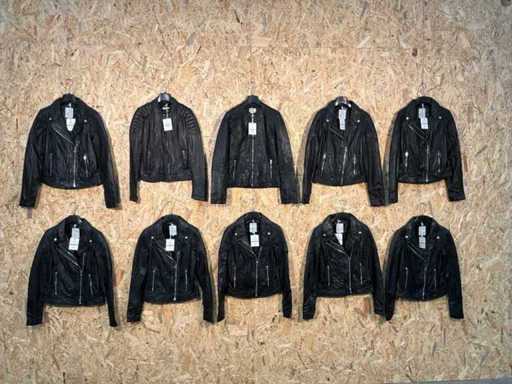 Goosecraft-Lederjacken (10x)