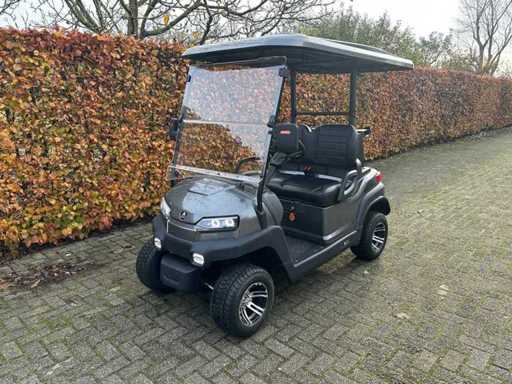 Golf Cart OX ZG2 2022