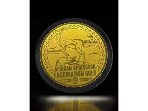 2022 African Springbok Fascination Gold 1/200 oz 999 Feingold 100 Francs CFA Kongo – Gratis Versand