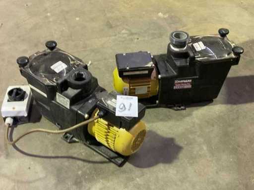 Hayward Super Pump Pro SP2608XY111 Pompă de apă (2x)