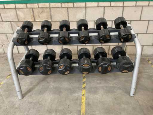 Lifemaxx Rastrelliera per manubri con manubri