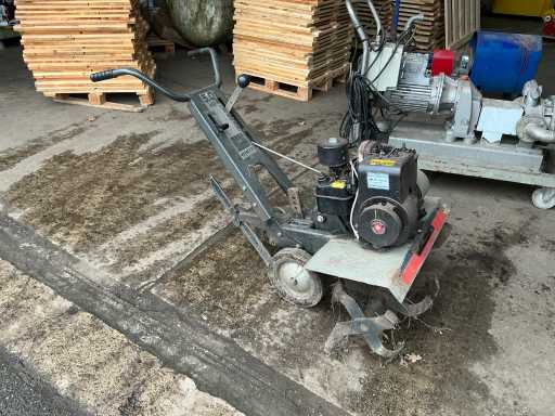 White Grondfrees 5PK