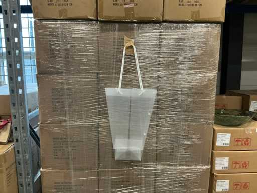Partij clear bags with buttons (voor bloemen) (5040x)