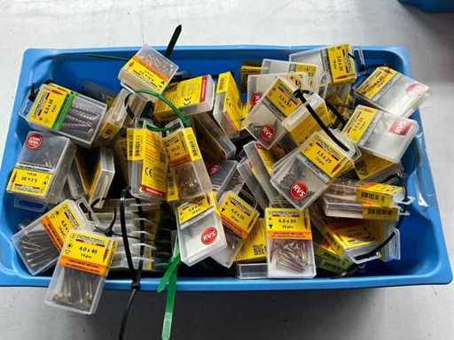 Rotadrill Verschiedene Schrauben aus Edelstahl, verzinkt und Messing in Blase (100x)