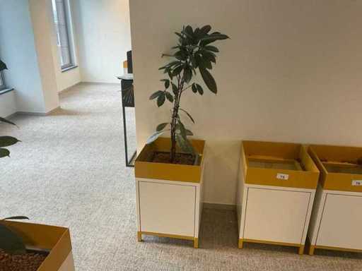 Pianta idroponica con piantatrice