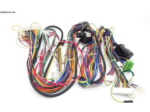 Set de cabluri Remeha S100039 (2x)