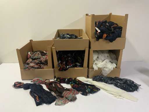 Festa di varie sciarpe