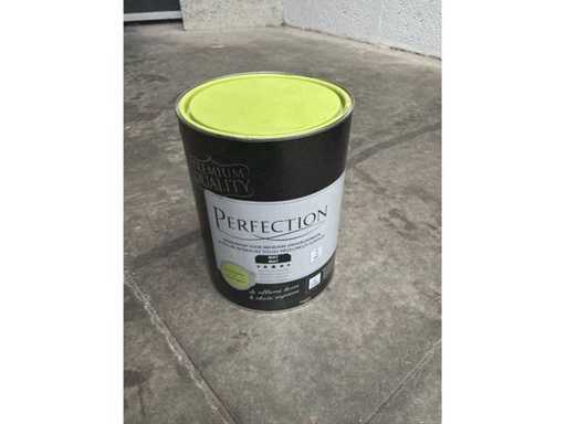 Vasetti di vernice Perfection (5 volte)