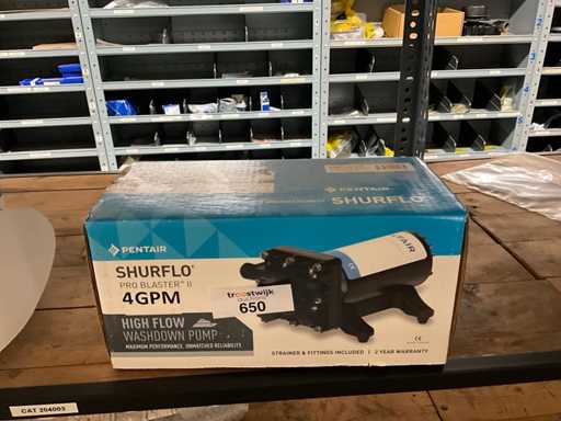 Pompa dell'acqua Pentair Shurflo