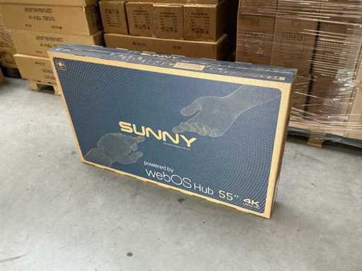 Sunny Webb Os Hub Televisie