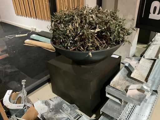 Kunst plant olijf met pot op presentatie kubus