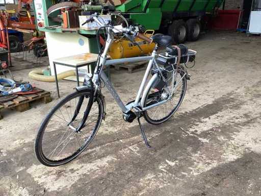 Vélo masculin de Batavus Stream