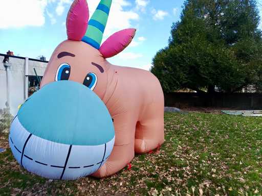 Bouncy castle - inflatable game "Big Donkey"