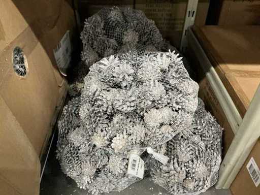Lot de blanchiment en cône de Silvestre 1 kg par net (46 fois)