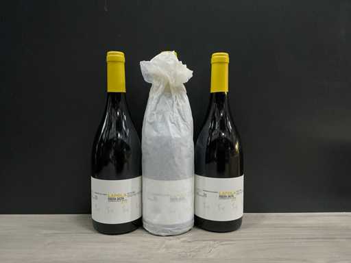 Domino Bibei Lapola 2019 (3x)