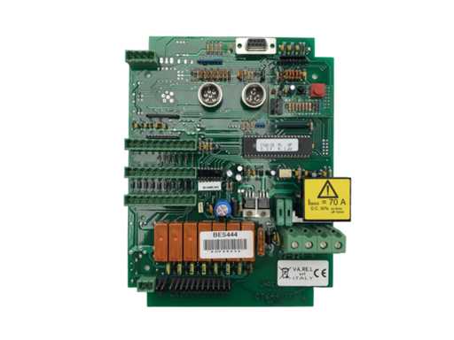 Besenzoni 802515 Control Board 24V