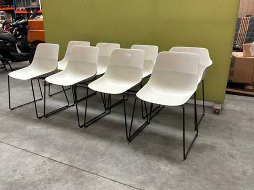 Brunner Crona light (8x)