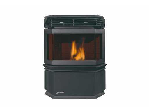 ECOFOREST Eco I - Noir - Poêle à granulés