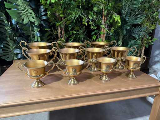 Decoratie schalen (11x)