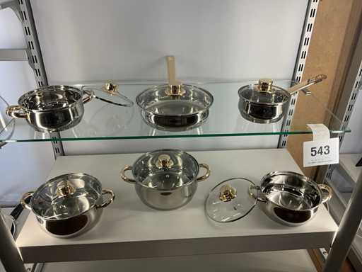 Ssw Kookpottenset inox 12 delig