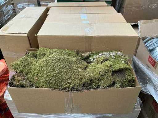 Partij Moss Flat 2kg per doos (27x)