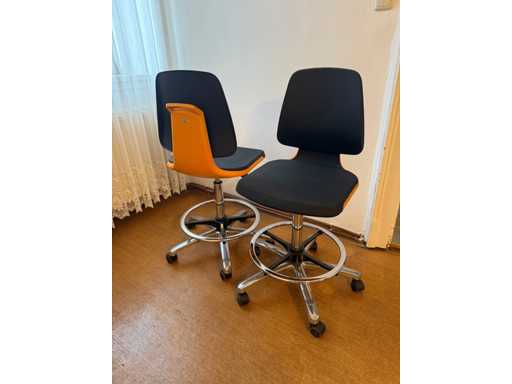 Bimos - 20016125 - Chaire de Laboratoire - 2019