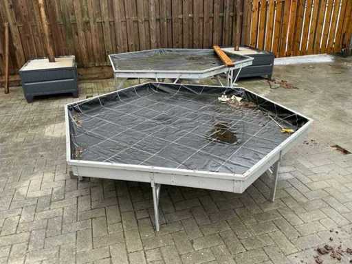 Tabelul cu plante (3x)