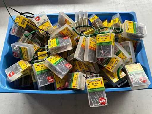 Rotadrill Verschiedene Schrauben aus Edelstahl, verzinkt und Messing in Blase (100x)