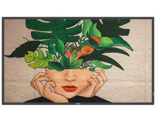 Televiziune Philips 43BDL4511D D-line