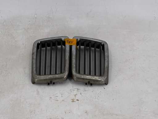 Ziergitter_Kühlergrill_Niere_BMW_4