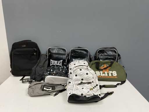 Lot de pungi de transport (10 ori)