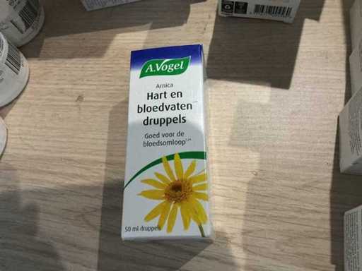 A. vogel Chutes cardiaques et vaisseaux sanguins (2x)