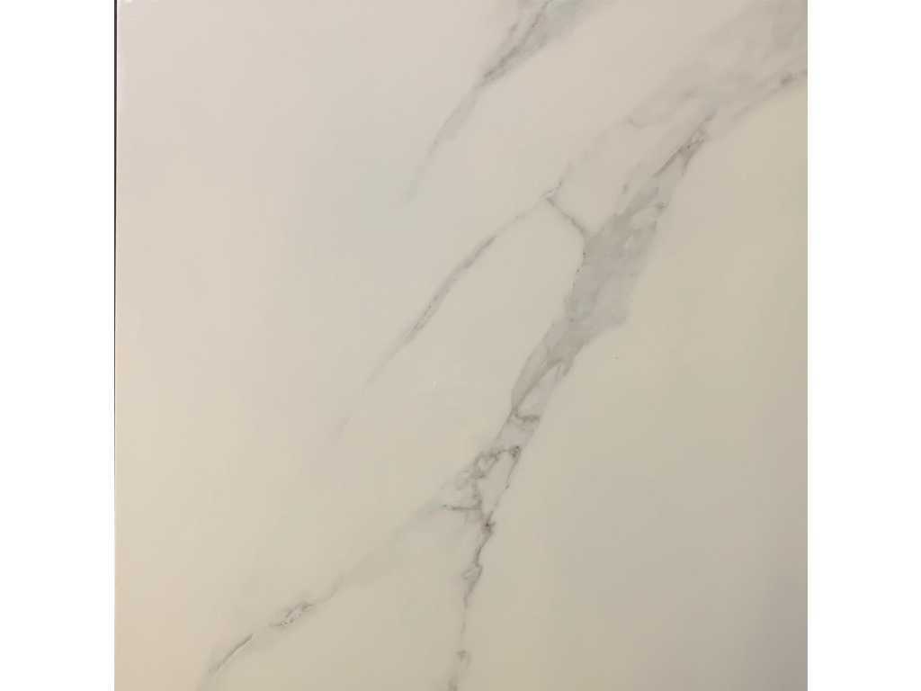 57,60m² - 60x60cm - Marble Carrara Matt gerectificeerd