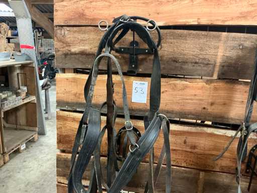 Eenpan pony harness