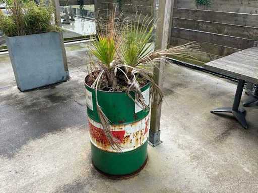 Planter