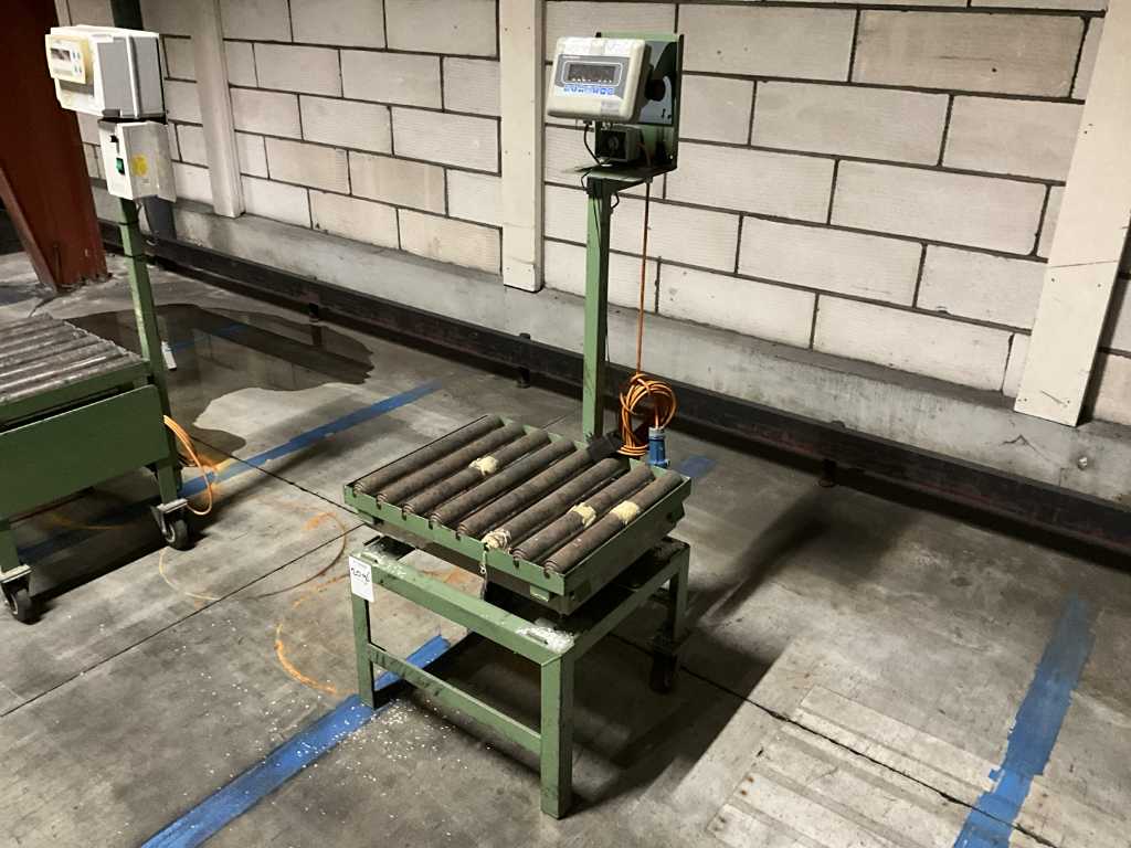 Avery E1005 Weighing Device with Roller Conveyor