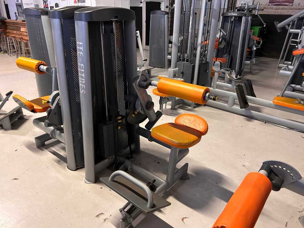 Elite Fitness - Back Extension - Strength Machine