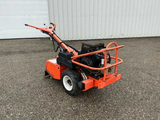 Barreto 1620 Tuinfrees