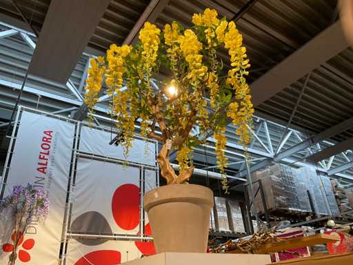 Glycine artificielle en pot (2x)