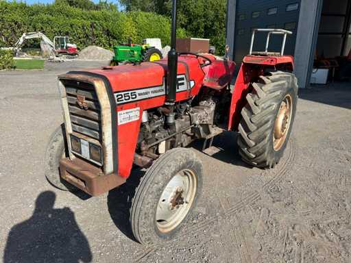 1977 Massey Ferguson MF 255 Oldtimer tractor