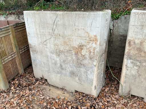 Blocchi di cemento (12x)