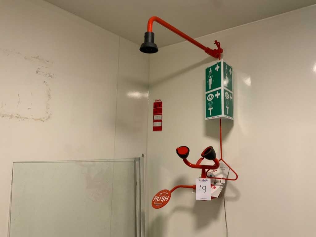 Broen Emergency shower with eye rinse head Troostwijk Auctions