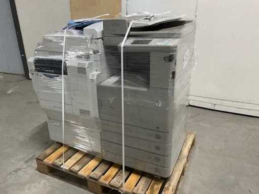 Kanon / Grüner Kopierer (2x)