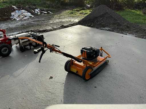 2010 AS motor AS 50 wildkraut-hex Floor brush