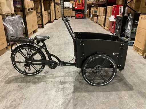 Cargo bike Flex Elettrica Cargo Bike