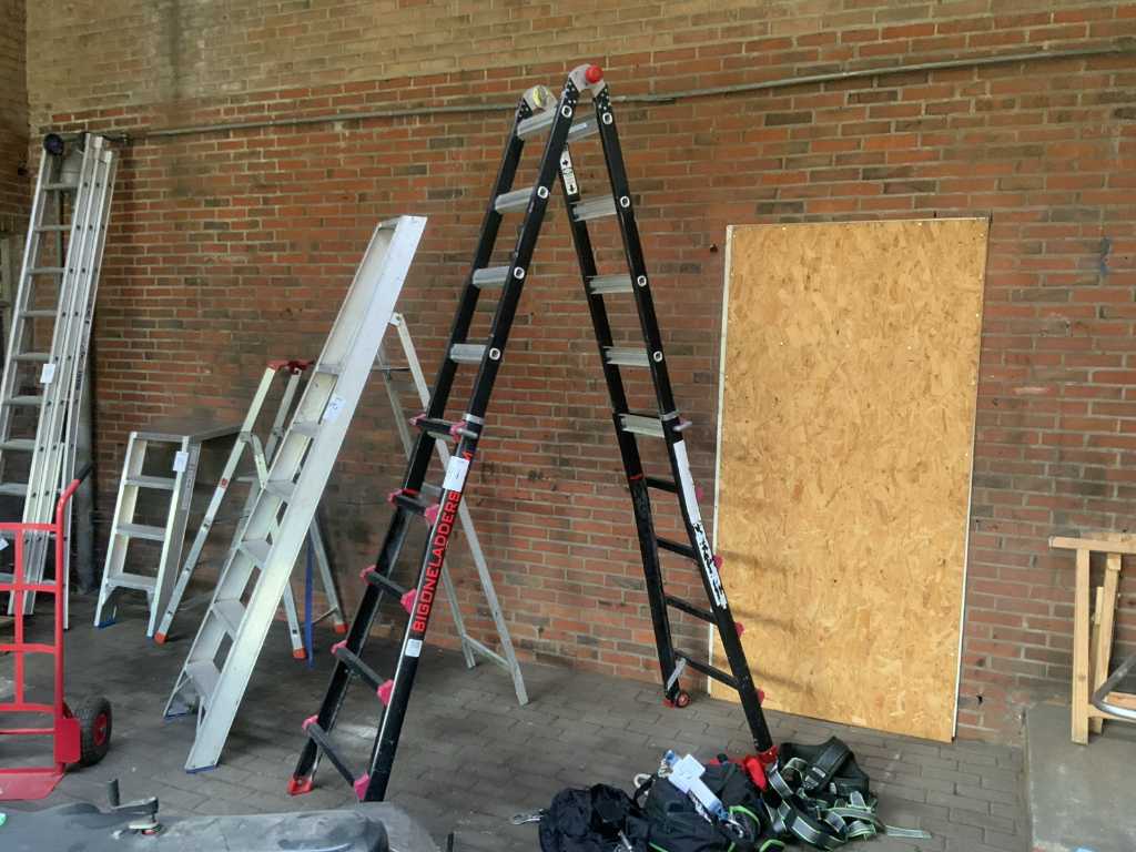 Big one ladders Folding ladder