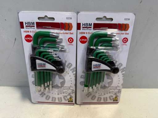 (2x) Set di chiavi a brugola lunghe Torx HBM da 9 pezzi